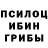 Псилоцибиновые грибы Psilocybine cubensis LeightonThe Dork
