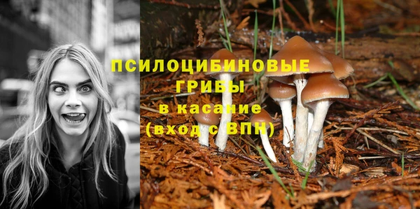 гашишное масло Белокуриха