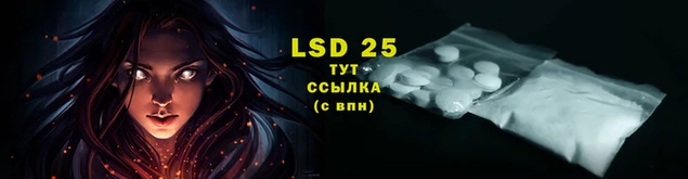 мяу мяу кристалл Богданович
