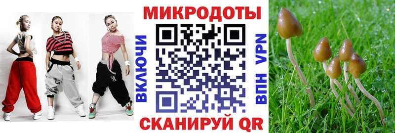 Псилоцибиновые грибы Psilocybine cubensis  omg онион  Йошкар-Ола 