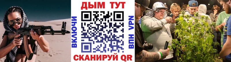 Шишки марихуана VHQ где продают наркотики Йошкар-Ола